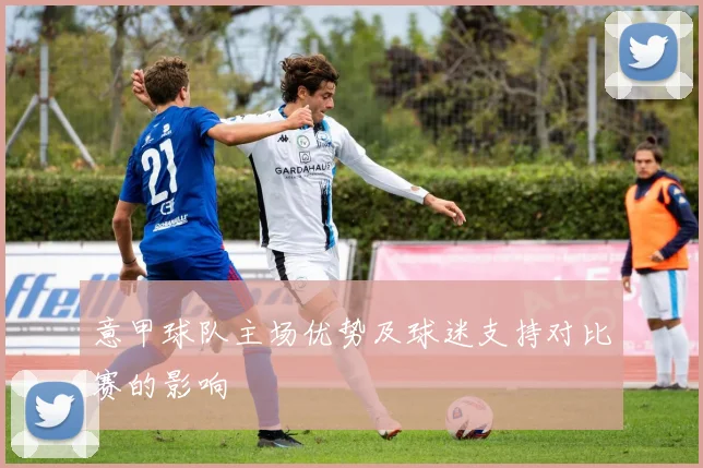 意甲球队主场优势及球迷支持对比赛的影响